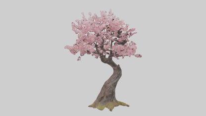 3D model Japanese Cherry Blossom tree model VR / AR / low-poly