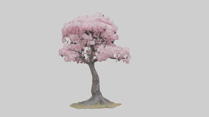 3D model Japanese Cherry Blossom tree model VR / AR / low-poly
