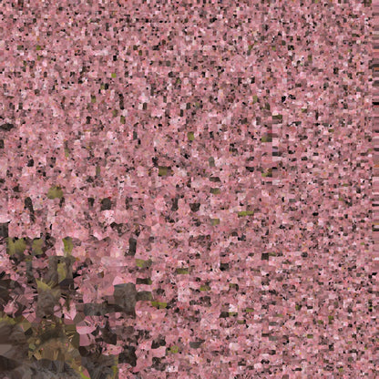 3D model Japanese Cherry Blossom tree model VR / AR / low-poly