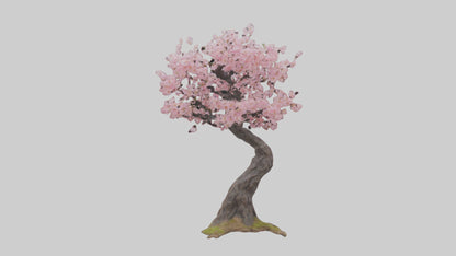 3D model Japanese Cherry Blossom tree model VR / AR / low-poly