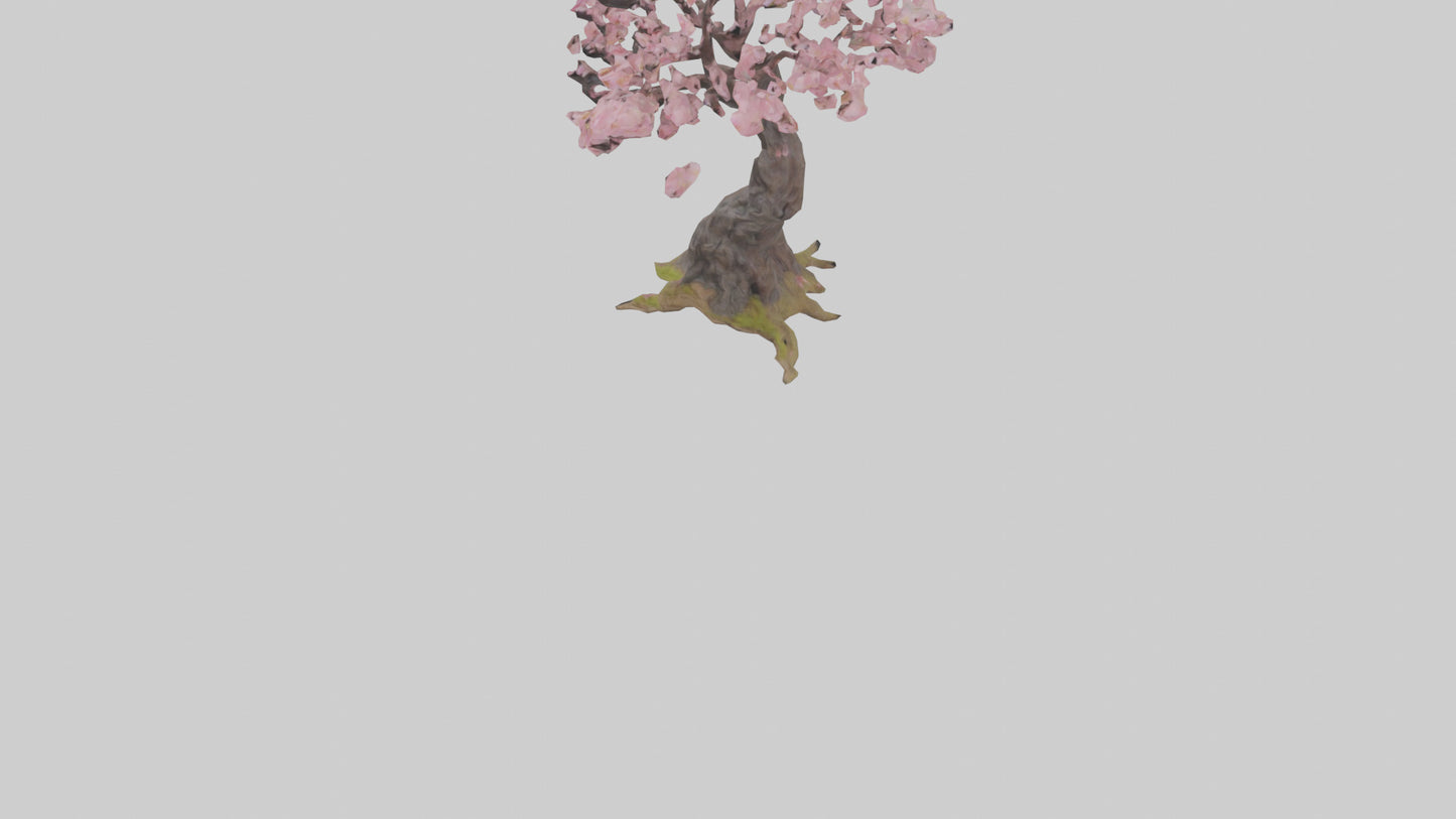 3D model Japanese Cherry Blossom tree model VR / AR / low-poly