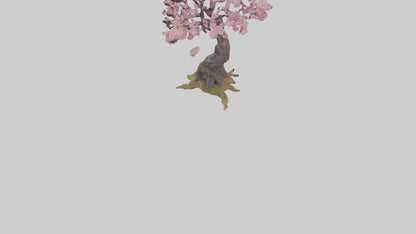 3D model Japanese Cherry Blossom tree model VR / AR / low-poly