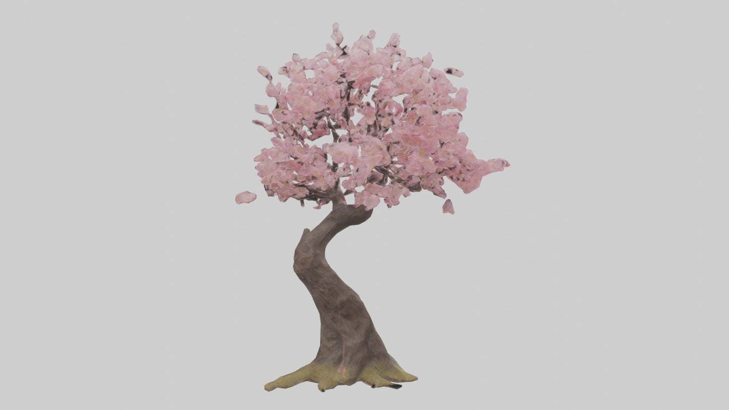 3D model Japanese Cherry Blossom tree model VR / AR / low-poly