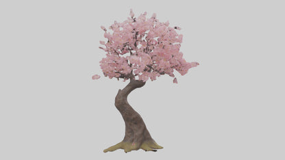 3D model Japanese Cherry Blossom tree model VR / AR / low-poly