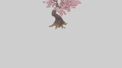 3D model Japanese Cherry Blossom tree model VR / AR / low-poly