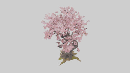 3D model Japanese Cherry Blossom tree model VR / AR / low-poly
