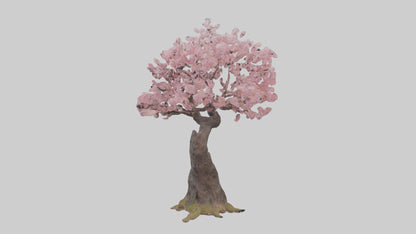 3D model Japanese Cherry Blossom tree model VR / AR / low-poly