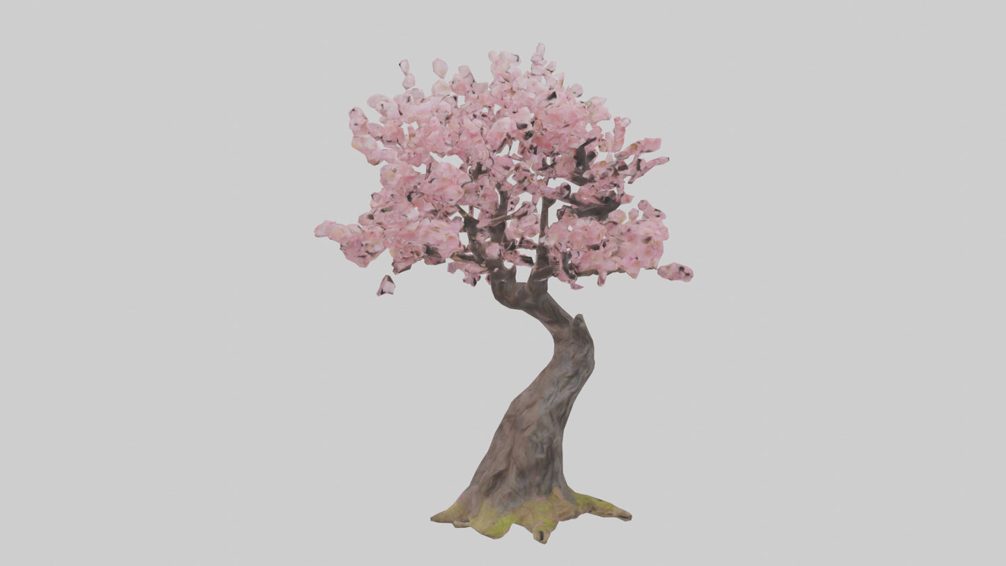 3D model Japanese Cherry Blossom tree model VR / AR / low-poly