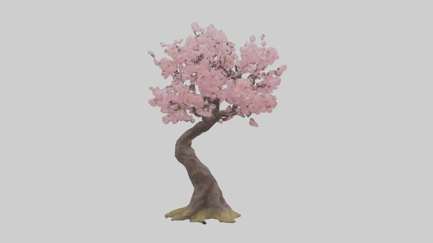 3D model Japanese Cherry Blossom tree model VR / AR / low-poly