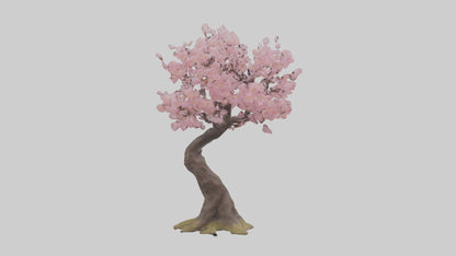 3D model Japanese Cherry Blossom tree model VR / AR / low-poly