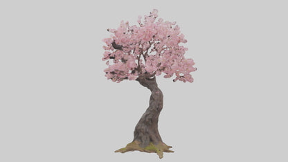3D model Japanese Cherry Blossom tree model VR / AR / low-poly