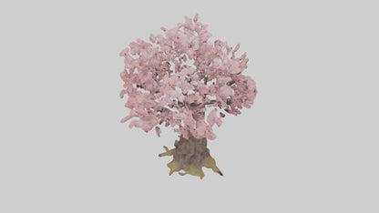 3D model Japanese Cherry Blossom tree model VR / AR / low-poly