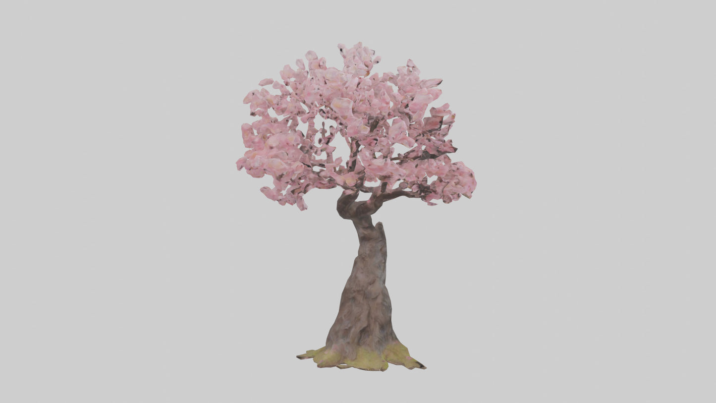 3D model Japanese Cherry Blossom tree model VR / AR / low-poly