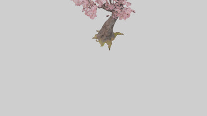 3D model Japanese Cherry Blossom tree model VR / AR / low-poly
