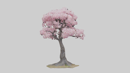 3D model Japanese Cherry Blossom tree model VR / AR / low-poly