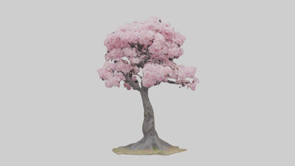 3D model Japanese Cherry Blossom tree model VR / AR / low-poly