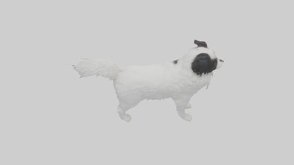 Japanese Chin standing model VR / AR / low-poly