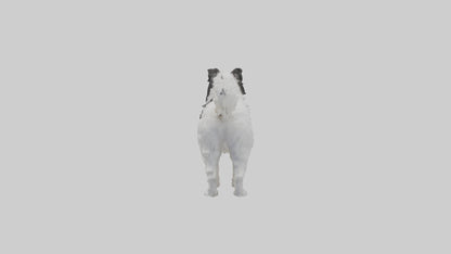Japanese Chin standing model VR / AR / low-poly