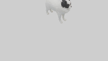 Japanese Chin standing model VR / AR / low-poly