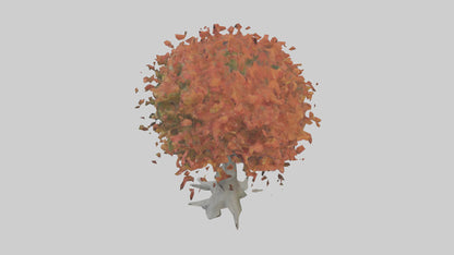 Japanese Maple tree model VR / AR / low-poly