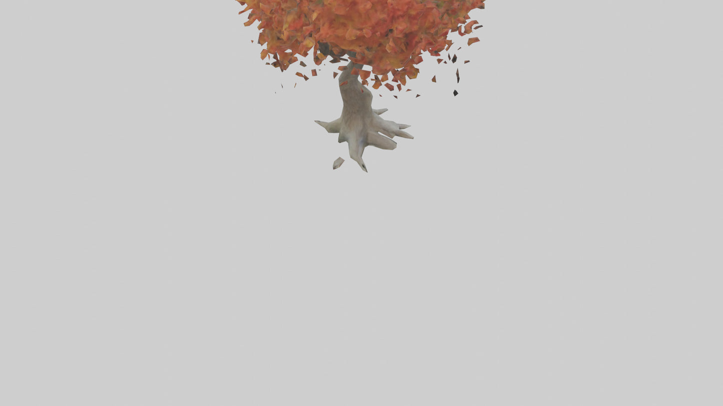 Japanese Maple tree model VR / AR / low-poly