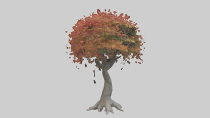Japanese Maple tree model VR / AR / low-poly
