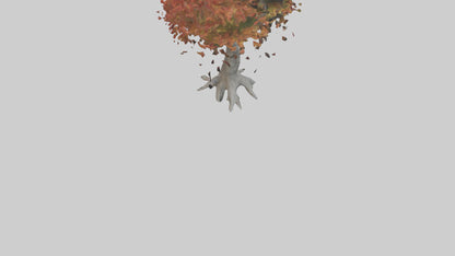 Japanese Maple tree model VR / AR / low-poly