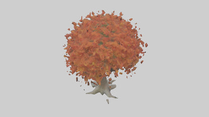 Japanese Maple tree model VR / AR / low-poly