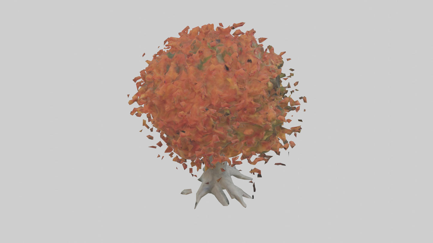 Japanese Maple tree model VR / AR / low-poly