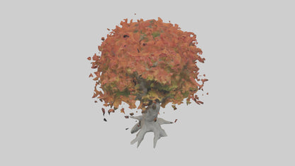 Japanese Maple tree model VR / AR / low-poly