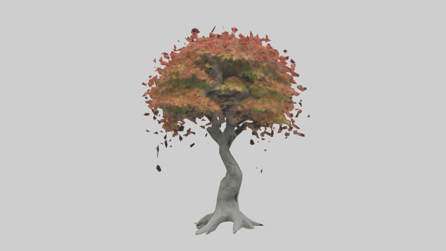 Japanese Maple tree model VR / AR / low-poly