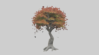 Japanese Maple tree model VR / AR / low-poly