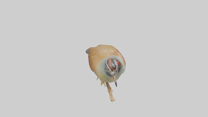 Japanese Quail perched model VR / AR / low-poly