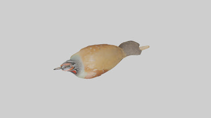 Japanese Quail perched model VR / AR / low-poly