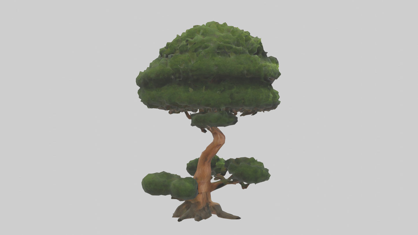 Japanese Yew tree model VR / AR / low-poly