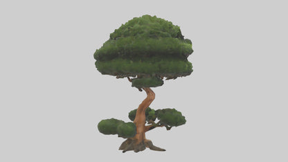 Japanese Yew tree model VR / AR / low-poly