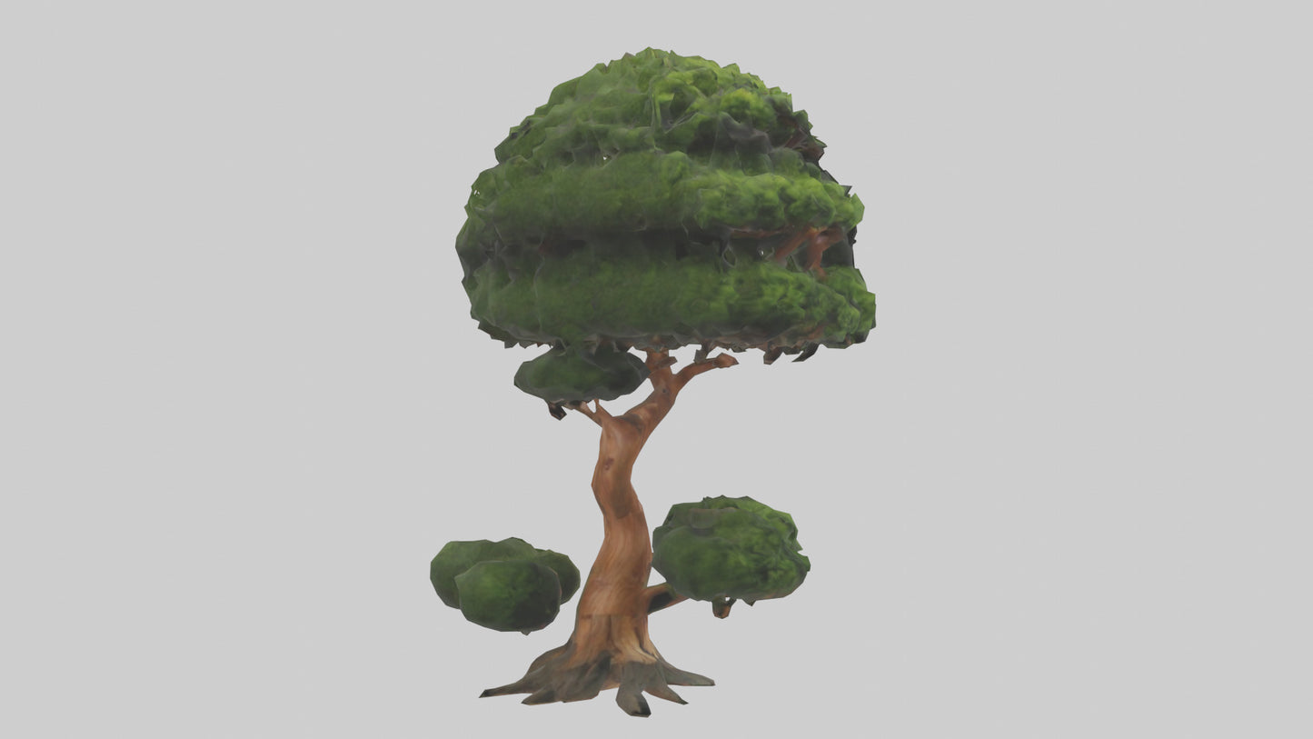 Japanese Yew tree model VR / AR / low-poly