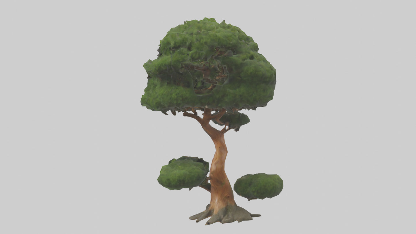 Japanese Yew tree model VR / AR / low-poly