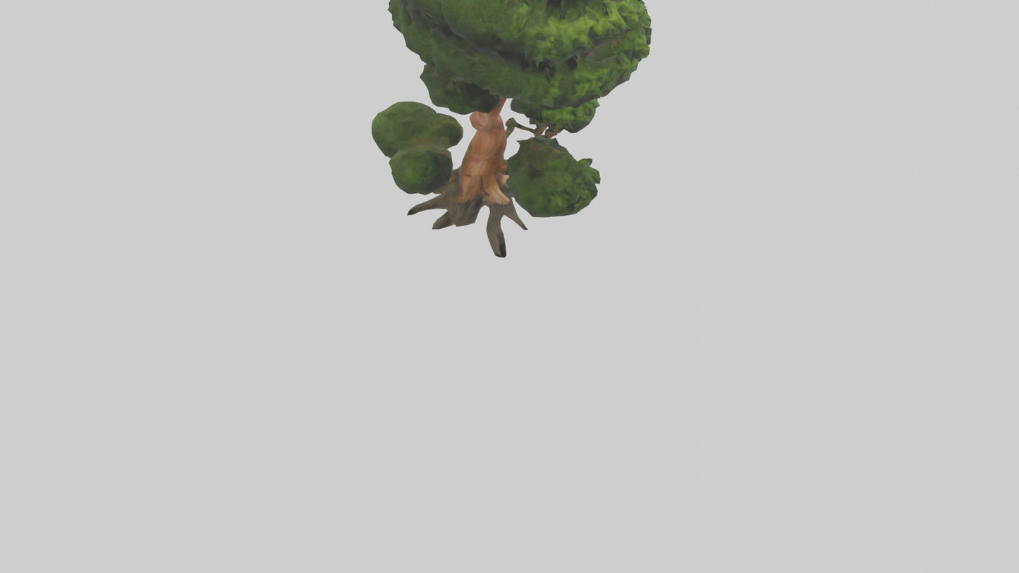 Japanese Yew tree model VR / AR / low-poly