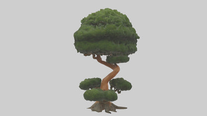 Japanese Yew tree model VR / AR / low-poly