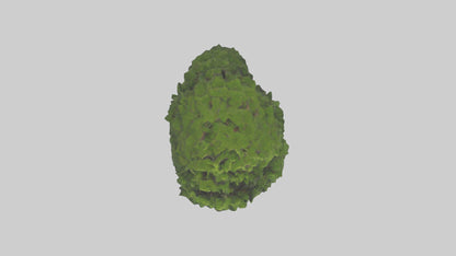 Japanese Yew tree model VR / AR / low-poly