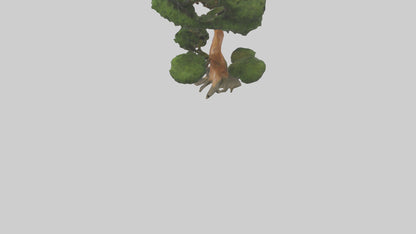 Japanese Yew tree model VR / AR / low-poly
