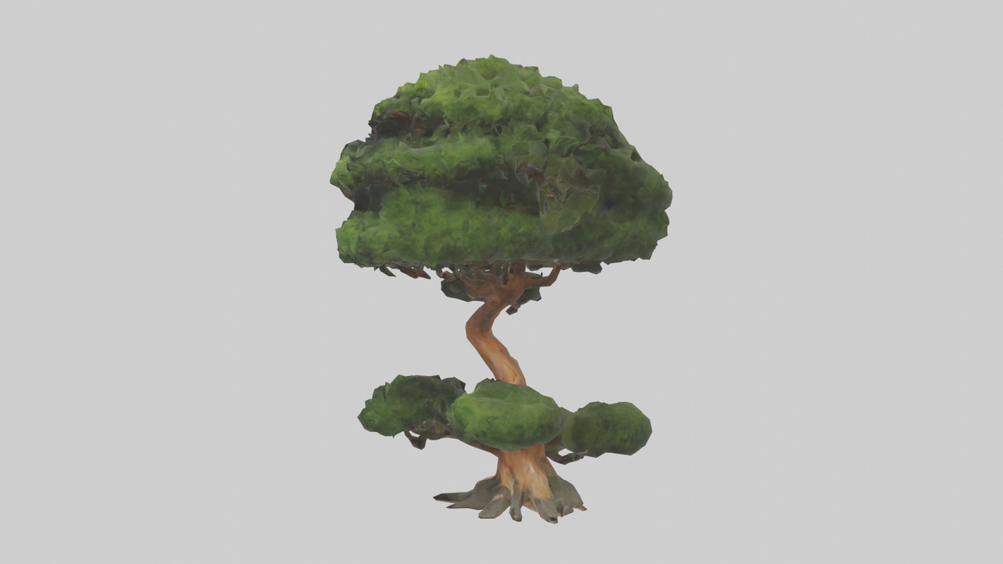 Japanese Yew tree model VR / AR / low-poly