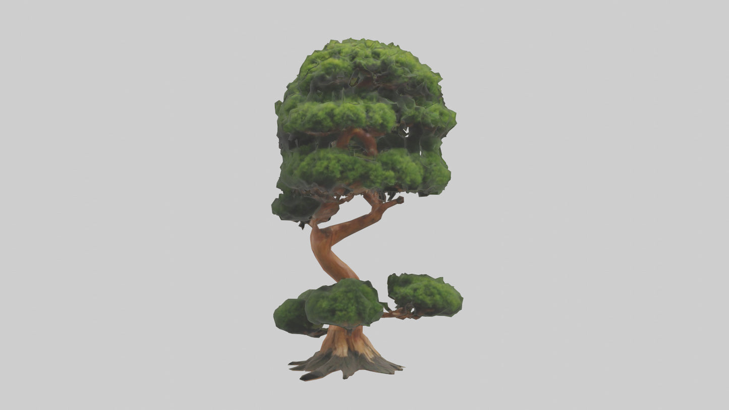 Japanese Yew tree model VR / AR / low-poly