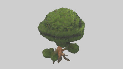 Japanese Yew tree model VR / AR / low-poly