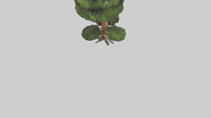 Japanese Yew tree model VR / AR / low-poly
