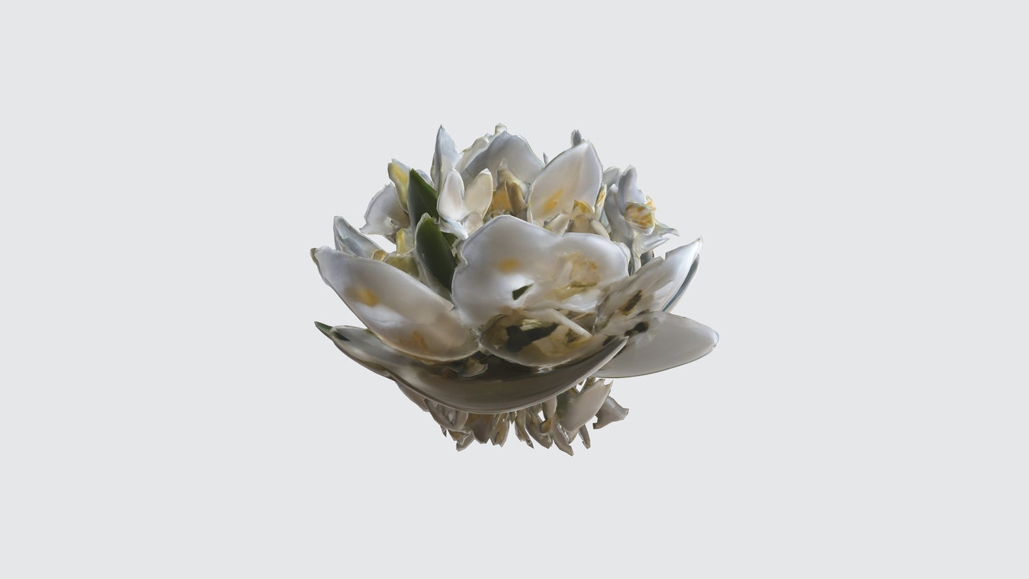 3D model Jasmine flowers VR / AR / low-poly