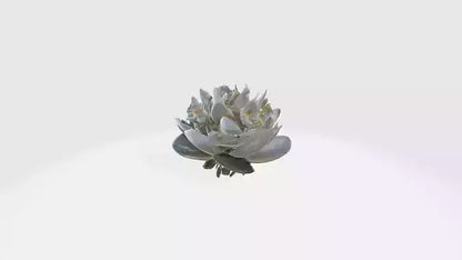 3D model Jasmine flowers VR / AR / low-poly