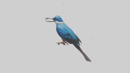 Javan Kingfisher perched model VR / AR / low-poly