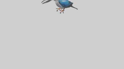 Javan Kingfisher perched model VR / AR / low-poly